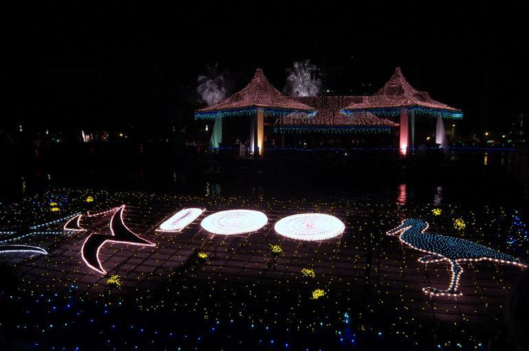 2008 Central Taiwan Lantern Festival, Taichung park lantern zone using Nikon D50 without IR cut 2008 Central Taiwan Lantern Festival, Taichung park lantern zone using Nikon D50 without IR cut