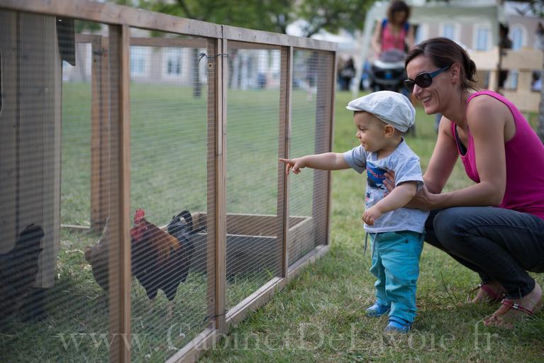 lesateliers festilive2015