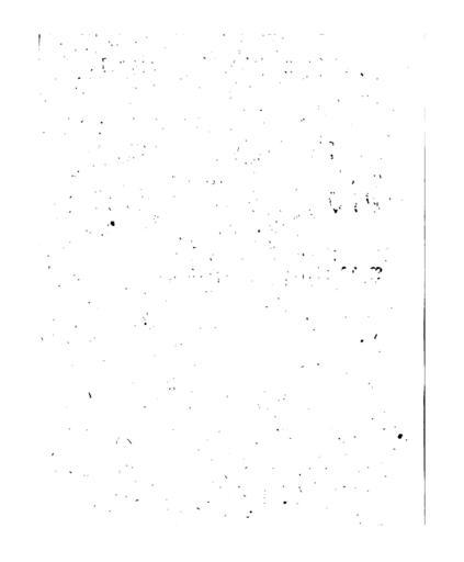 Entdeckung Ursache Wachstum Pflanzen 218.jpg 217 219