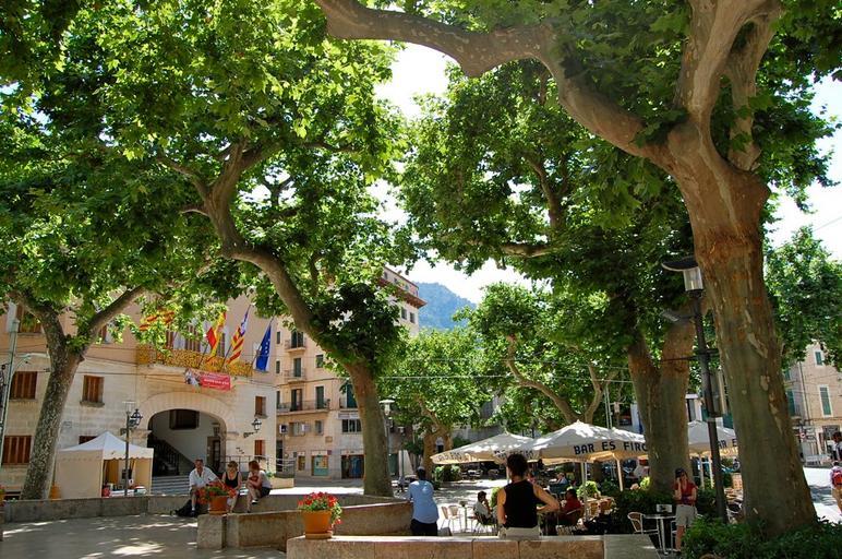 DSC_0796 Carefree Sailor