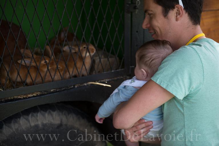 lesateliers festilive2015