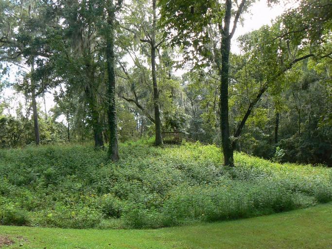 07-09-11 LkJksnMoundsStPkMnd4.jpg Mound 4 at the Lake Jackson Mounds State Park Tallahassee Florida USA Own 2007-09-11 Tim Ross Lake Jackson Mounds Archaeological State Park