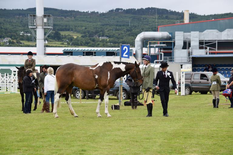 outdoor animal sport field game DSC_0796 Explore skiachphotos' 13506 photos on Flickr!