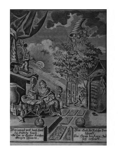 Entdeckung Ursache Wachstum Pflanzen 370.jpg 369 371